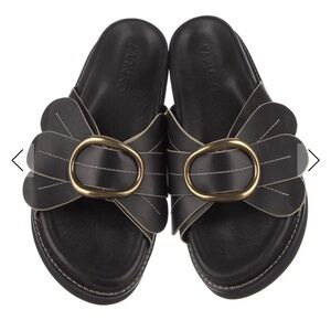 FARM Rio Black Daisy Slide Sandals with Gold Buckle